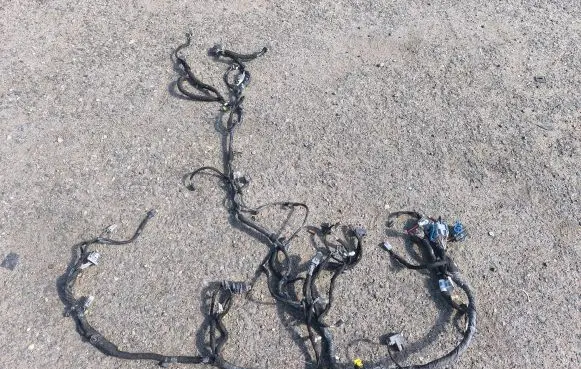 Ford Mustang VI Panel wiring GR3T14401 Z05968473 14401GE