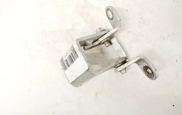 Rear door lower hinge