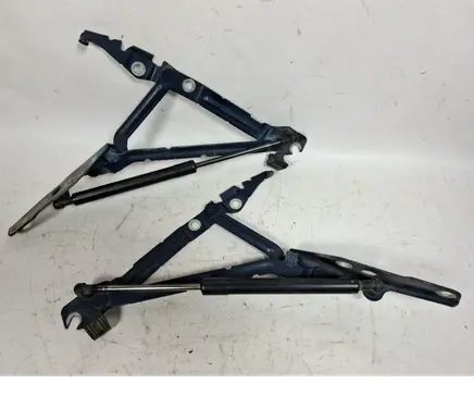 Tailgate/trunk/boot hinge