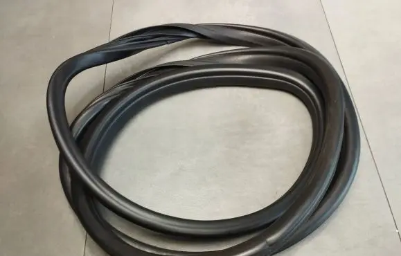 BMW X6 E71 Rubber seal rear door 