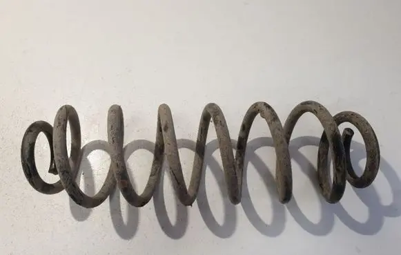 Rear coil spring