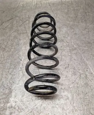 Rear coil spring
