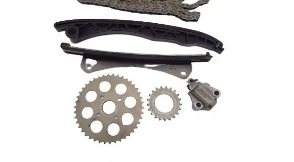 Opel Corsa D Slide rail for timing chain 55205448