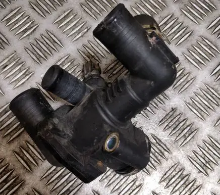 Thermostat/thermostat housing
