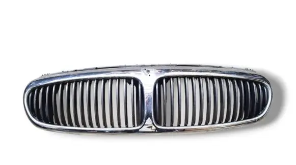 Jaguar X-Type Front grill 1X43-5510-AE