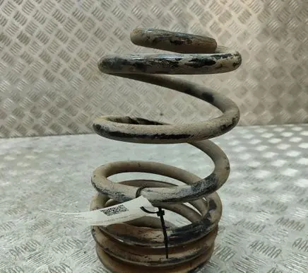 Renault Trafic III (X82) Rear coil spring 550202870R