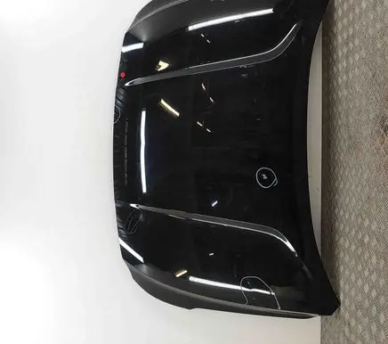 Hyundai Santa Fe Engine bonnet/hood 66400S1000