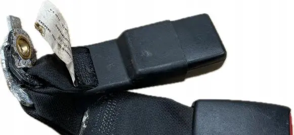 Dodge Charger Rear seatbelt buckle 1HZ141X9AE