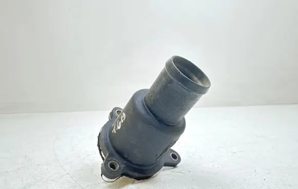 Renault Scenic I Engine coolant pipe/hose 7700103300