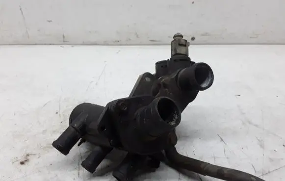 Thermostat/thermostat housing