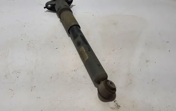 Citroen C4 III e-C4 Rear shock absorber/damper 9841379480