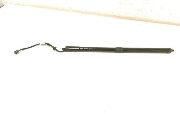Tailgate strut