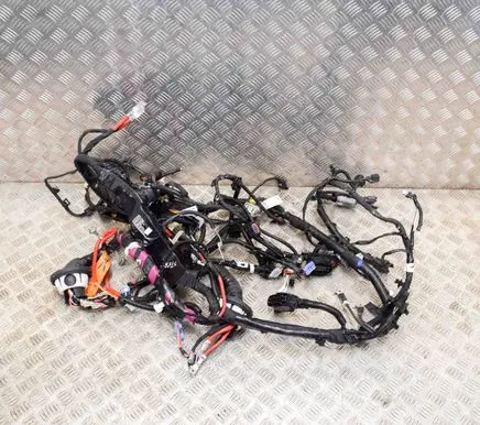 Tesla Model 3 Other wiring loom 106876800F 156796407C