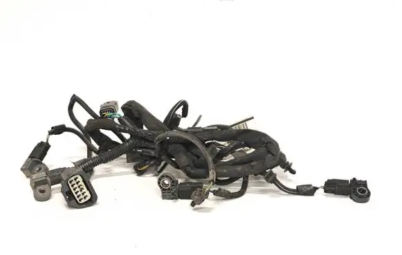 Volvo V40 Other wiring loom 31412572 850004311