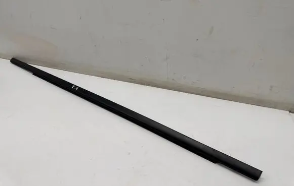 Rear door glass trim molding