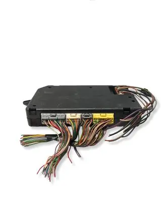 Land Rover Discovery Other control units/modules YWC000310 73004311A