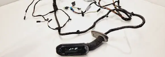 BMW 5 F10 F11 Front door wiring loom 9240882