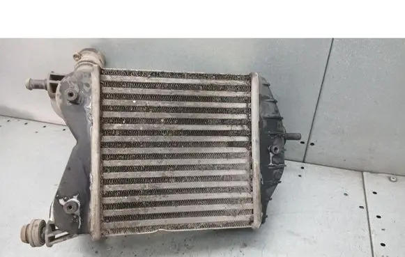 Fiat Punto (199) Intercooler radiator