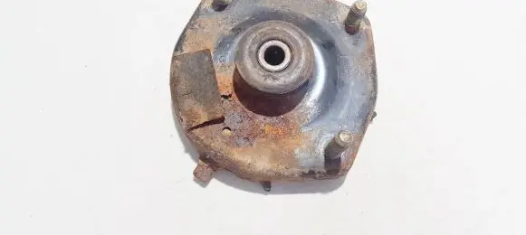Coil spring mount