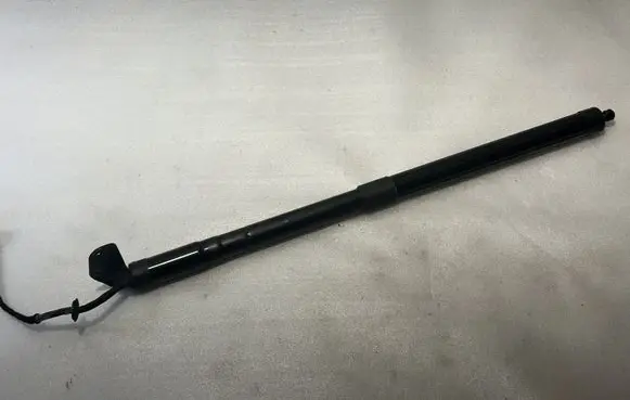 Tailgate/trunk strut/damper
