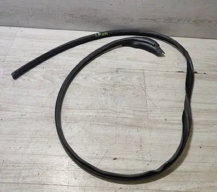 Renault Kangoo III Front door rubber seal 
