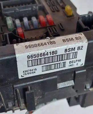 Peugeot 307 Fuse module 9650664180 43679415