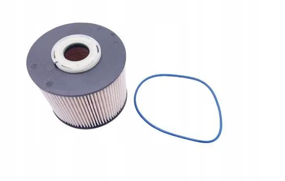 Ford Galaxy Fuel filter 2037668