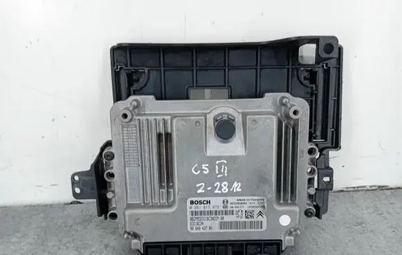 Engine control unit/module ECU