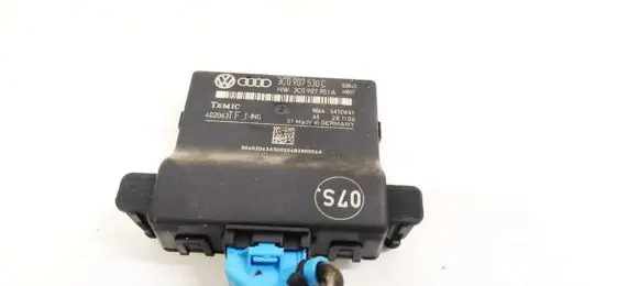 Volkswagen PASSAT B6 Other control units/modules 3C0907530C 3C0907951A