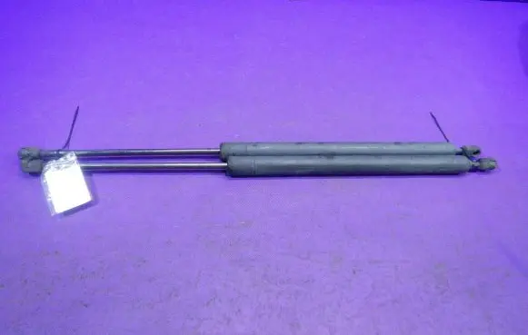 Tailgate strut