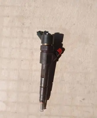 Renault Megane II Fuel injector 0445110110B
