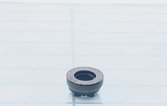 Seat Leon (1P) clutch release bearing 
