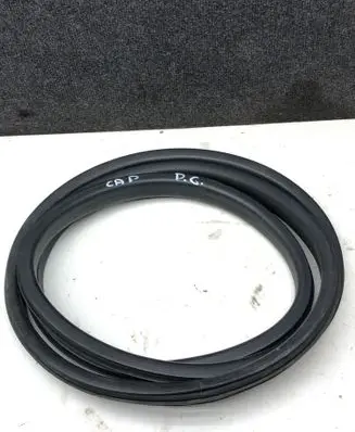 Renault Captur Rear door rubber seal (on body) 
