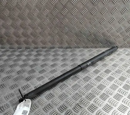 Tesla Model X Tailgate/trunk strut/damper 112969800A