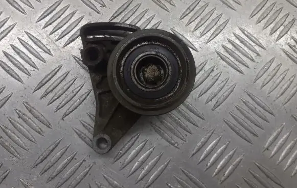 Volkswagen PASSAT B5.5 Alternator belt tensioner pulley 