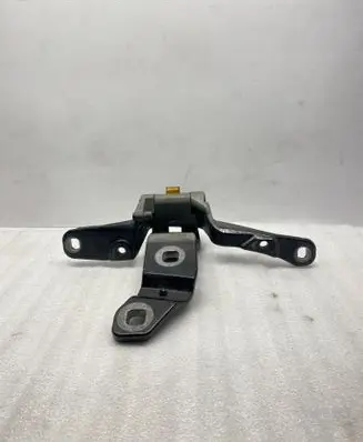 BMW 5 GT F07 Tailgate/trunk/boot hinge 7200534