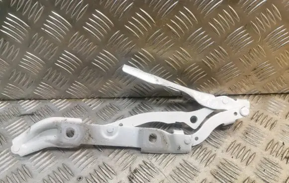 BMW 2 F22 F23 Tailgate/trunk/boot hinge 7304558