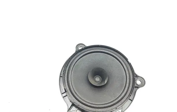 Renault Trafic III (X82) Front door speaker 28156 GTT806
