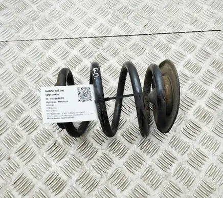 BMW Z4 E85 E86 Rear coil spring 6760604