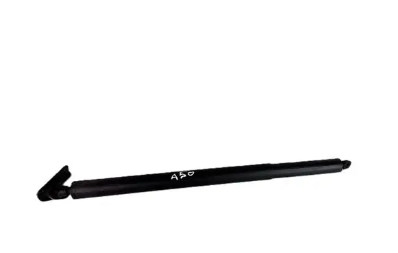Hyundai Santa Fe Tailgate/trunk strut/damper 81841S1600