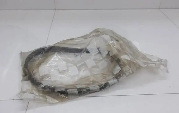 Citroen Berlingo Alternator belt 5750ZF