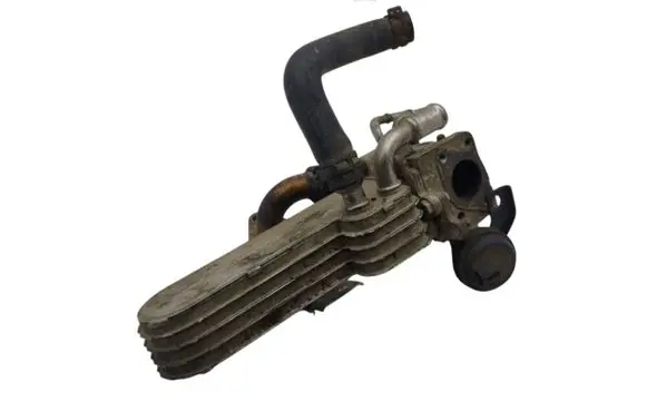 Volkswagen Jetta V EGR valve 03G131063F 127407009
