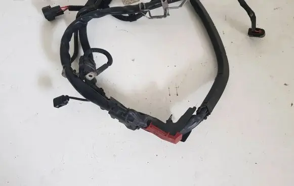 Audi A6 S6 C7 4G Other wiring loom 4G2971228CH