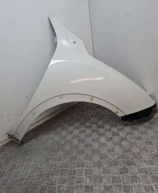 Nissan Juke I F15 Fender 