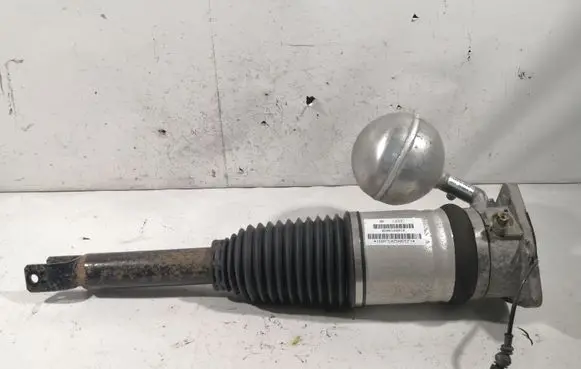 Volkswagen Phaeton Air suspension rear shock absorber 3D0616001K