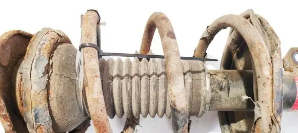 Toyota Corolla Verso AR10 Front coil spring