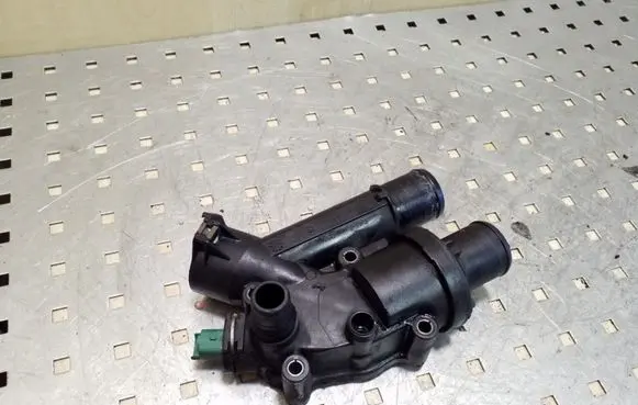 Thermostat/thermostat housing