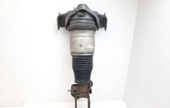 Porsche Cayenne (9PA) Air suspension front shock absorber 7L5412021BB
