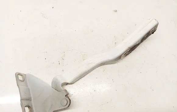 Nissan e-NV200 Engine bonnet/hood hinges 