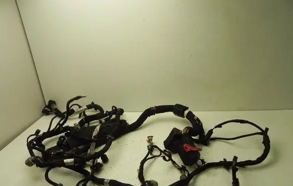 Engine installation wiring loom